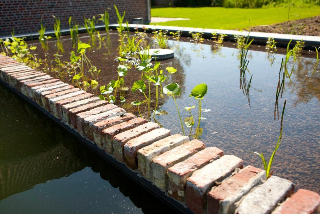De Deugdzonde Bed & Breakfast Sint-Denijs